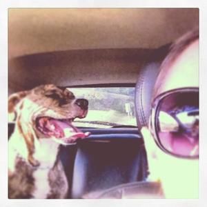 Meet your Posher, Michelle